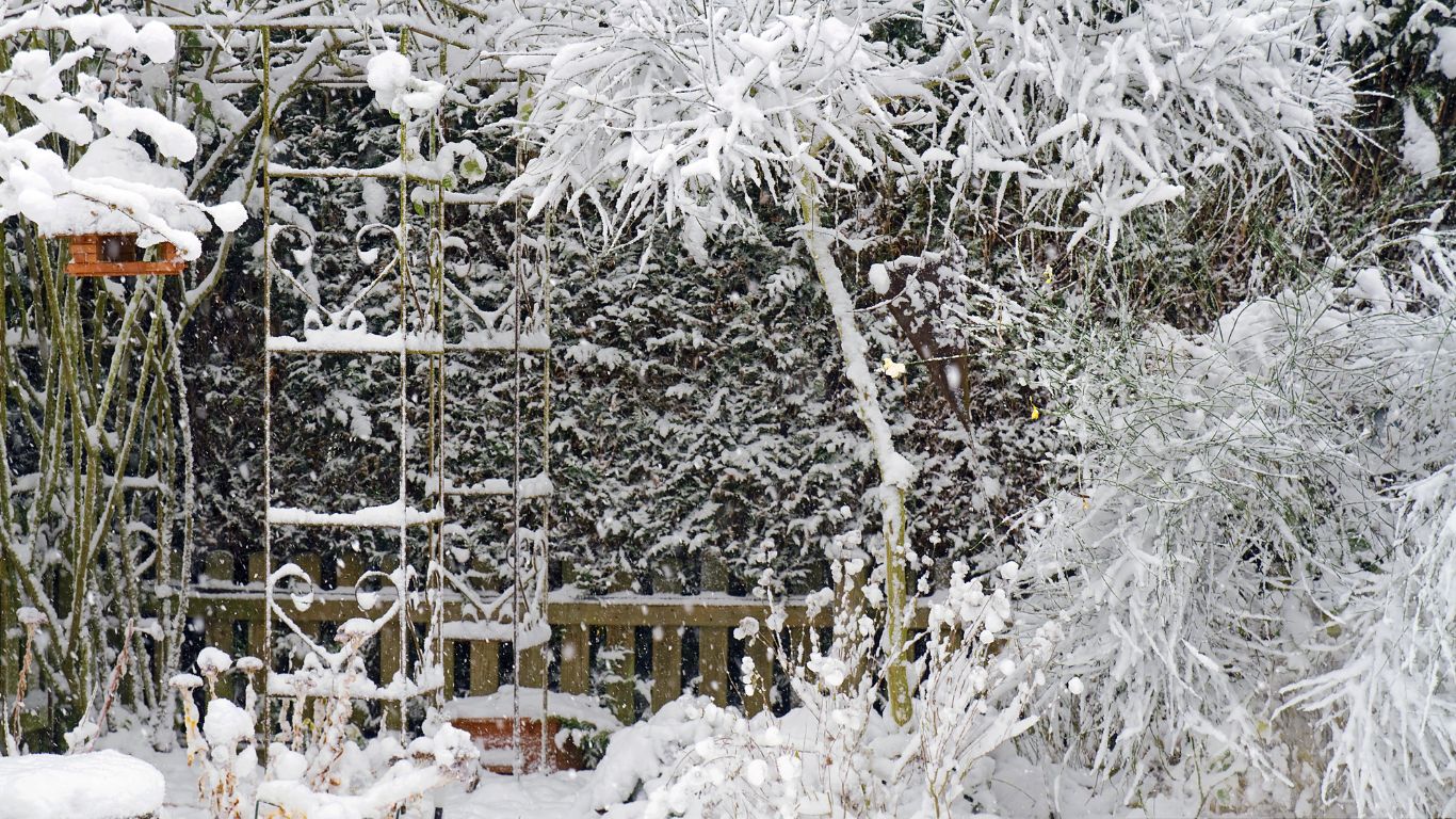 Transform Your Winter with an E-Zup Gazebo