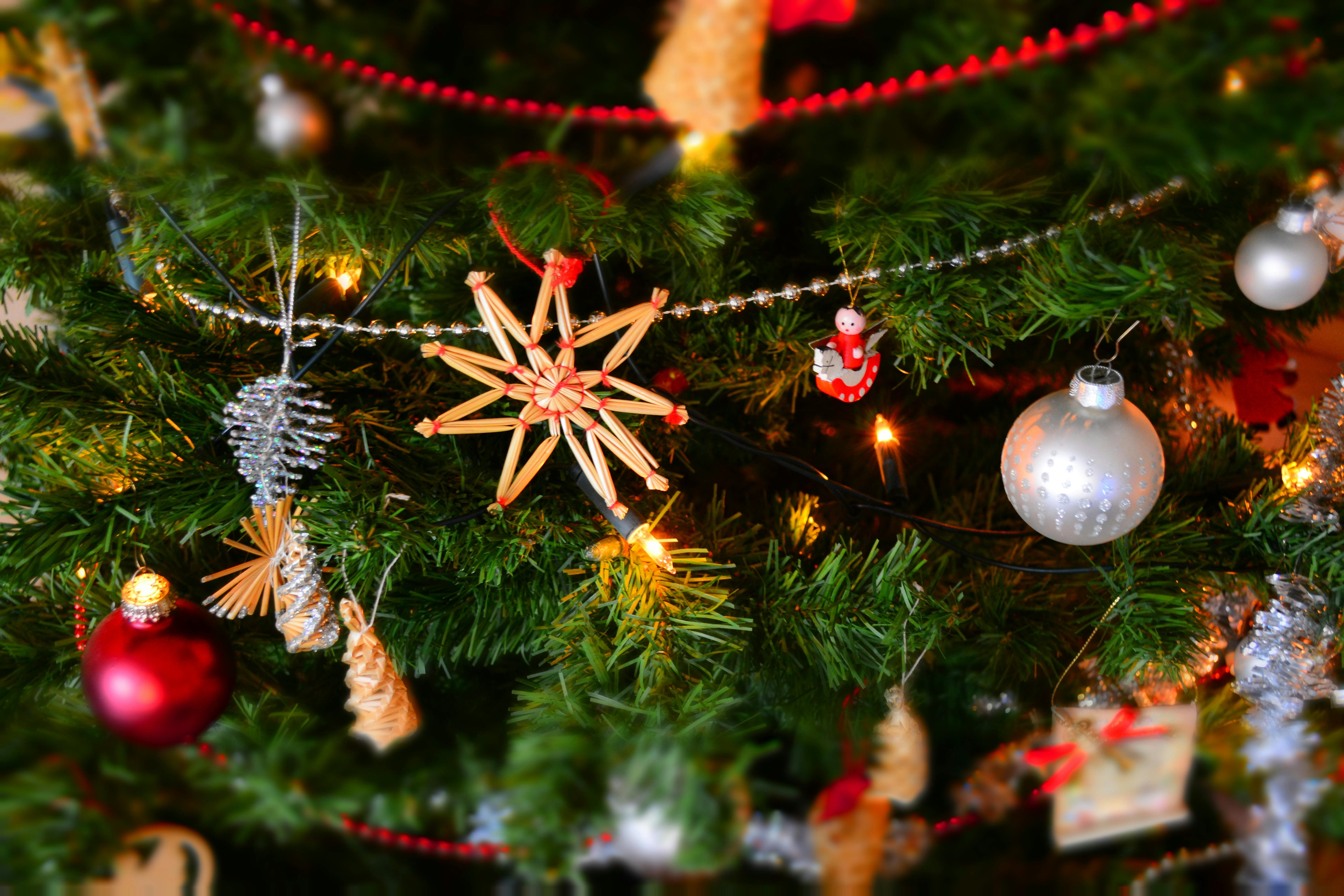 Christmas Ideas